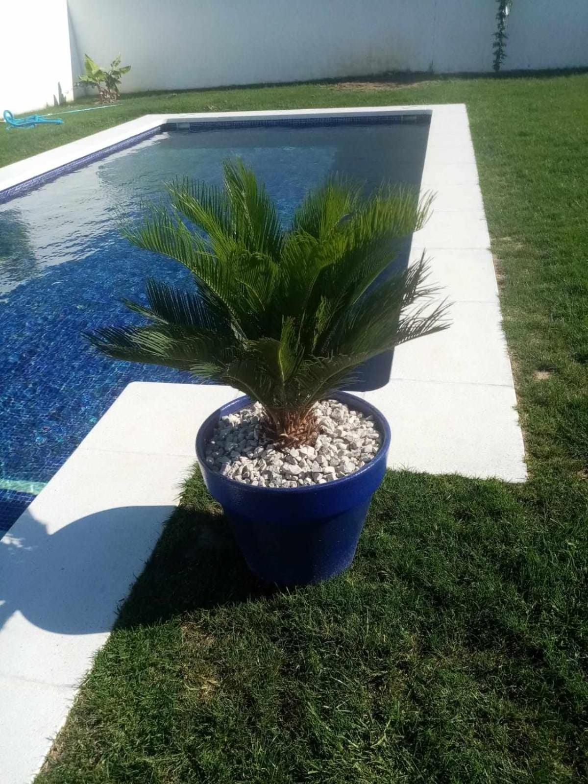 Ferienhaus Casitas De La Barrosa Con Jardin Y Piscina